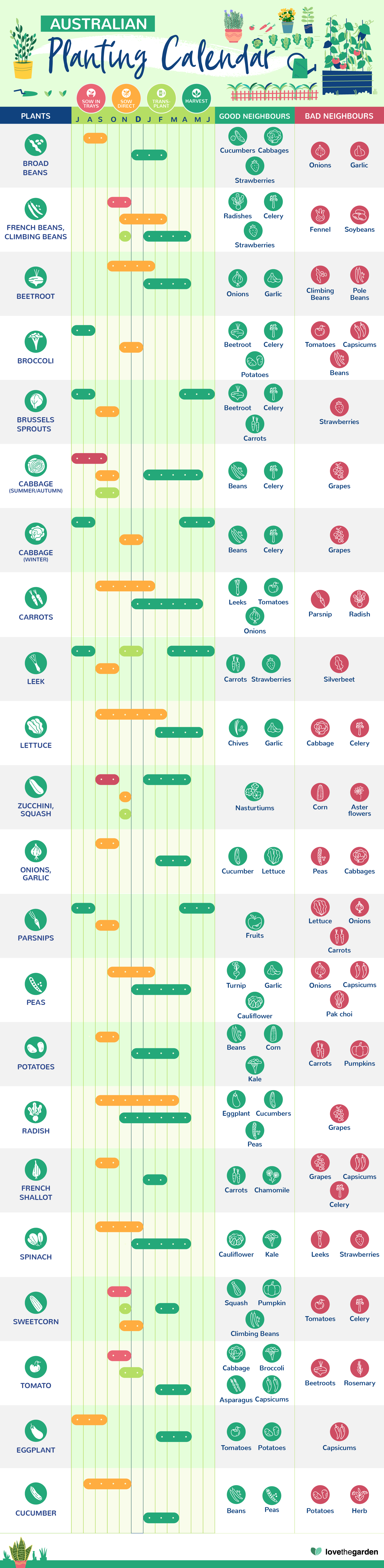 Planting Calendar For Vegetables Fruits In Australia PDF 